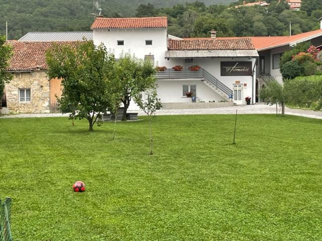 Kmetija Tomazic Vinska Klet - Winery Διαμέρισμα Vipava Εξωτερικό φωτογραφία