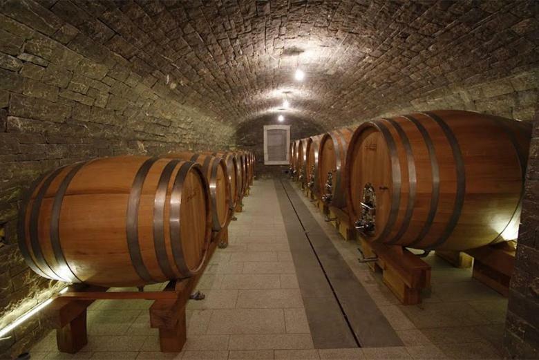 Kmetija Tomazic Vinska Klet - Winery Διαμέρισμα Vipava Εξωτερικό φωτογραφία