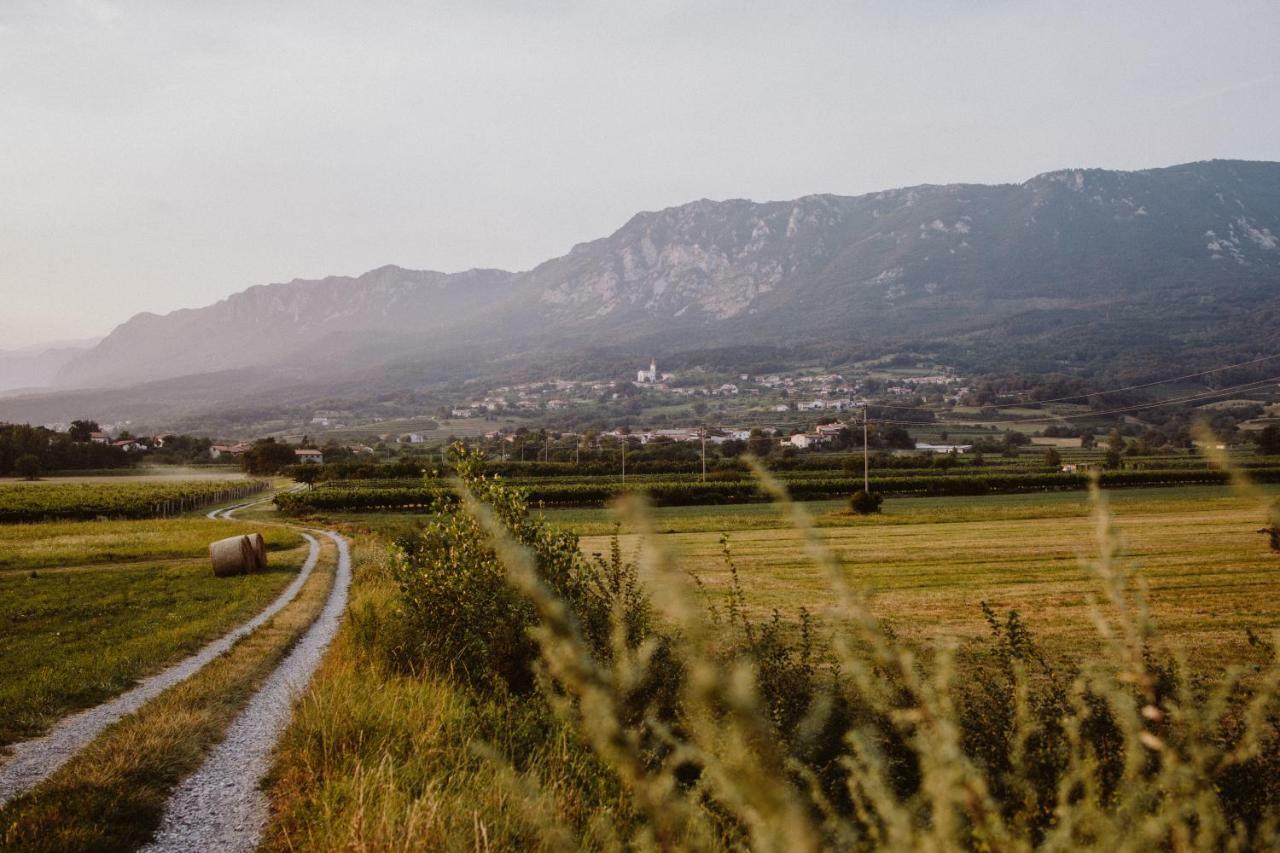 Kmetija Tomazic Vinska Klet - Winery Διαμέρισμα Vipava Εξωτερικό φωτογραφία